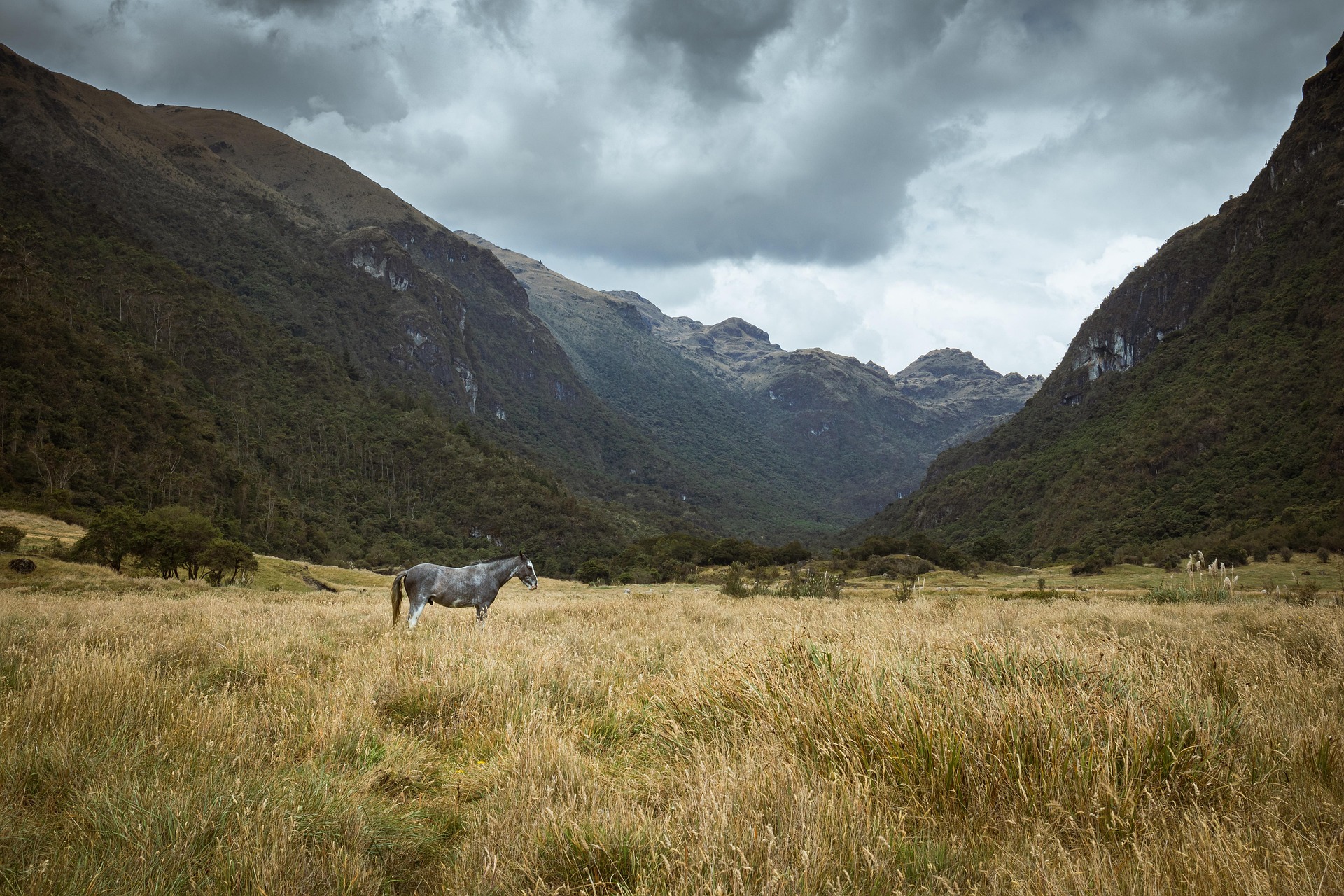 Cajas National Park