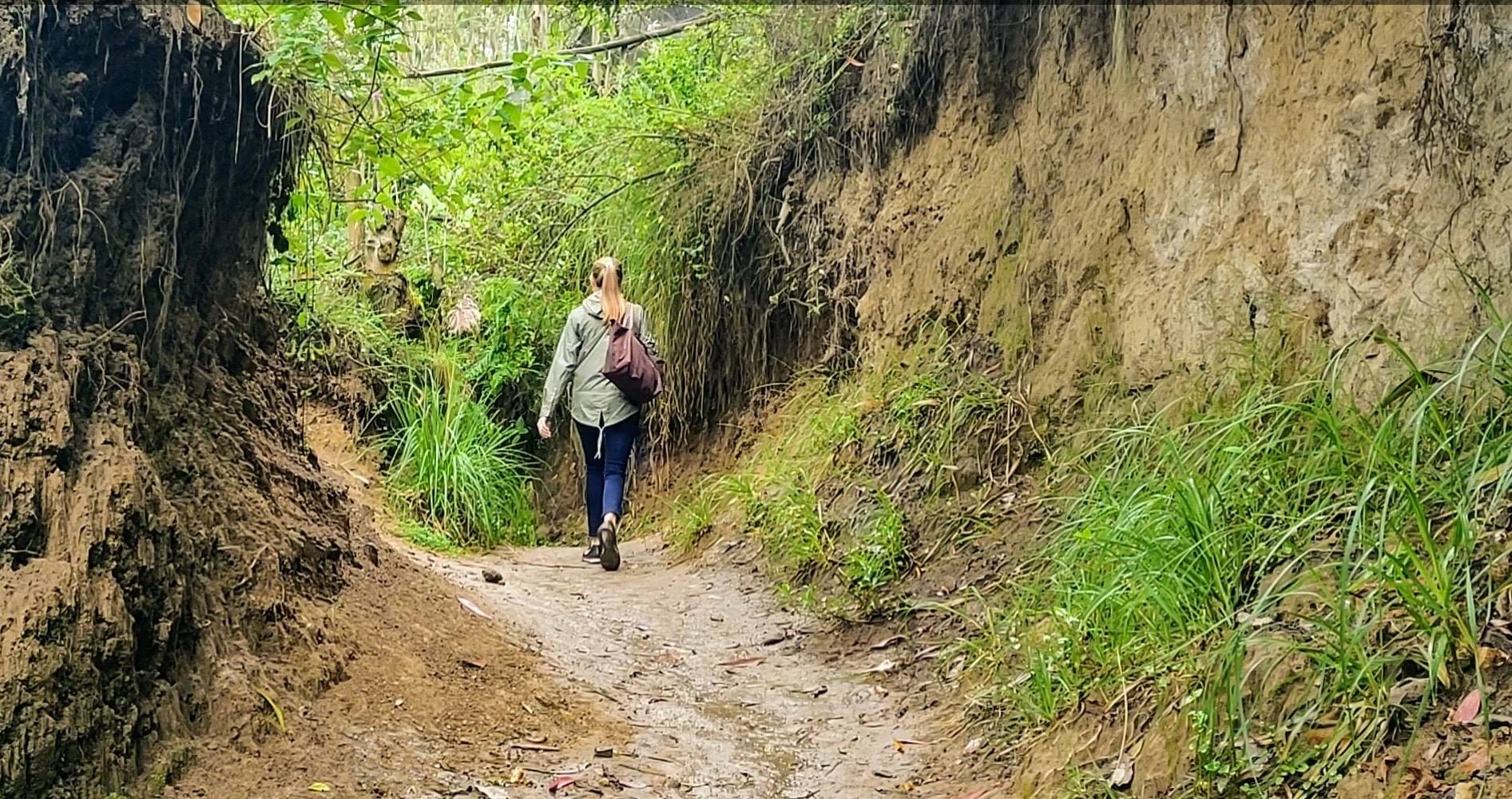 Nomad Pioneers hiking a lush trail through the cloud forest near Cuenca